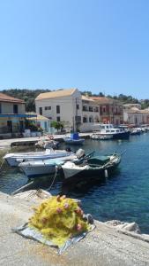 Un grupo de barcos están atracados en un puerto en Villa Gaia, en Gáios