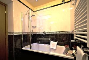 a bathroom with a shower and a white sink at Hotel Manfredi Suite In Rome in Rome