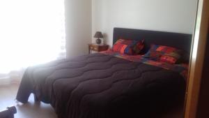 a bedroom with a large bed with a black comforter at MAISON DE VACANCES in Grancey-sur-Ource +2 photos