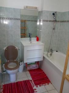 a bathroom with a toilet and a sink and a tub at STUDIO MI AIME AOU in La Saline les Bains