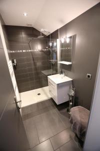 uma casa de banho com um WC, um lavatório e um chuveiro em Le Bord de Sèvre em Saint-Laurent-sur-Sèvre