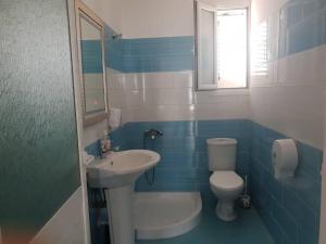 a blue and white bathroom with a toilet and a sink at Guesthouse Anila in Divjakë