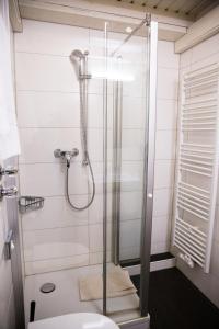 a bathroom with a shower with a toilet and a sink at Gästehaus Rössler in Brannenburg