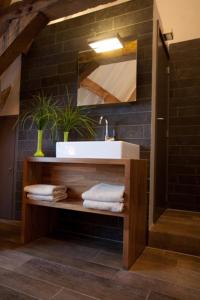 a bathroom with a sink and a mirror at Hostellerie Hof Ter Doest in Lissewege