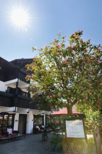 un árbol con flores rosas delante de un edificio en Gästehaus Rössler, en Brannenburg