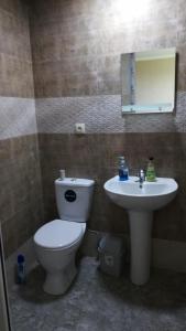 a bathroom with a toilet and a sink at The White House in Kazbegi