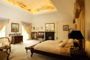 Ballyragget的住宿－Grange Manor，一间卧室设有一张大床和一个壁炉