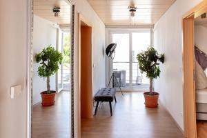 un pasillo con dos macetas y un espejo en Apartment 4, en Gottmadingen