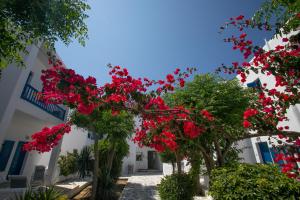 Um jardim em Acrogiali Beachfront Hotel Mykonos