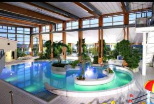 a large indoor swimming pool in a building at Ferienapartment Wiese & Meer auf Rügen in Neddesitz