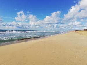 a sandy beach with the ocean in the background at Antica Masseria Ficazzana - Tenuta in Marina di Pescoluse