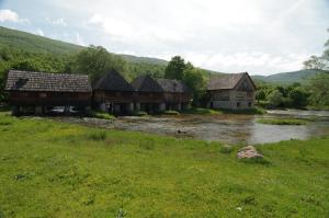 Příroda nedaleko penzionu