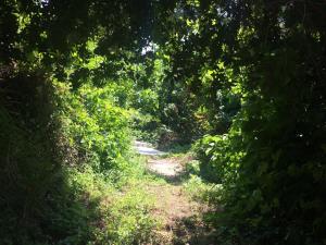 Paesaggio naturale nelle vicinanze della villa