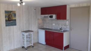 una pequeña cocina con armarios rojos y fregadero en Le Petit St Jacques en Le Puy-en-Velay