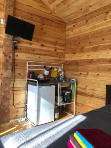 リストヴャンカにあるBaykalskaya Taiga Guesthouseの木製の壁のベッドルーム(テレビ、冷蔵庫付)