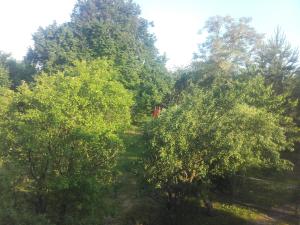 Przyroda w pobliżu tego apartamentu