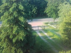 Przyroda w pobliżu tego apartamentu