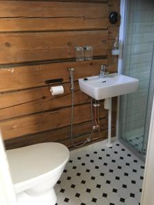 
a bathroom with a toilet, sink, and shower at Guesthouse Kumpunen in Petäjävesi
