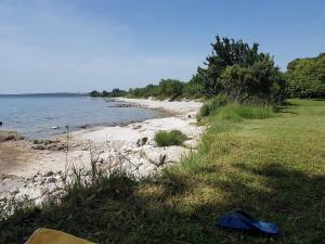 Spiaggia vicina o nei dintorni dell'appartamento