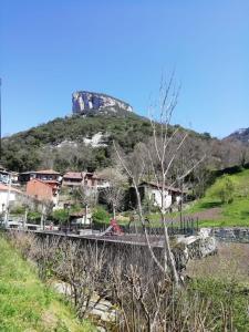 una vista de una colina con una montaña en el fondo en Apartamento en Carreña de Cabrales en Carreña