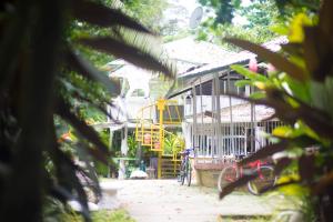 Taman di luar Madre Selva Hostel