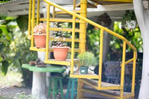 Taman di luar Madre Selva Hostel