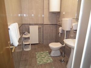 łazienka z toaletą i umywalką w obiekcie Naša Tvrđava Guest Accommodation w Nowym Sadzie