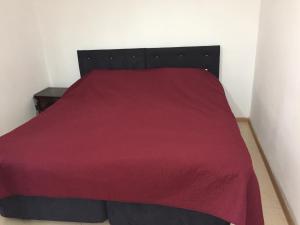 a bed with a red blanket on top of it at Cico Guest House in Batumi