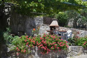 un jardín con flores rosas y una pared de piedra en Quinta do Real - Casa de Campo, en Viana do Castelo