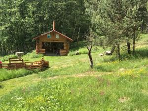 una cabaña de madera en medio de un campo en Nature Retreat "Upes Dižvietas", en Krāslava