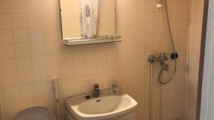 a bathroom with a sink and a toilet at Majatalo Eura in Eura +5 photos