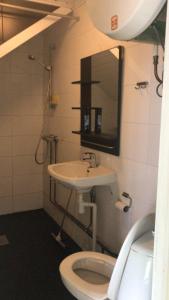 ein Badezimmer mit einem Waschbecken, einem WC und einem Spiegel in der Unterkunft Majatalo Eura in Eura