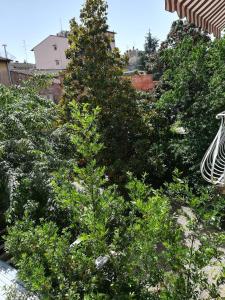 Vonkajšia záhrada v ubytovaní Giardino D'Azeglio Locazione Turistica