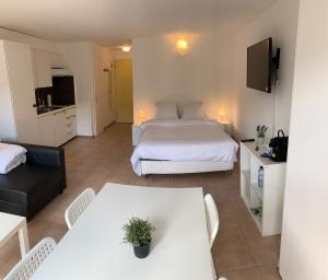 TV a/nebo společenská místnost v ubytování Luxury Duplex Vue Chateau