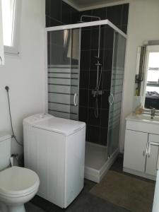 a bathroom with a shower and a toilet and a sink at L'appart Audomarois in Saint-Omer