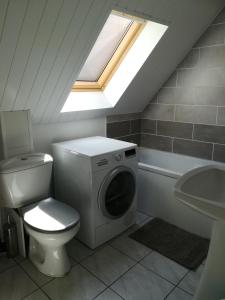 a bathroom with a toilet a sink and a skylight at L'appart Audomarois in Saint-Omer