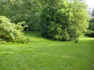 um campo de relva verde com árvores e arbustos em Lawendowa Dolina em Ustroń