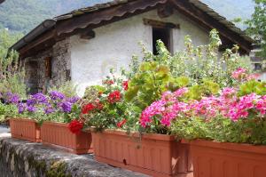 Zahrada ubytování B&B Al Mulino