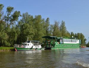 two green boats are docked on a river at Hotel Plutitor Kingfisher in Uzlina