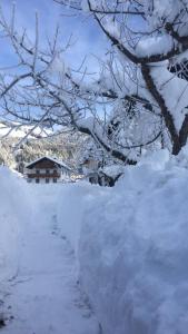 una pila de nieve junto a un árbol cubierto de nieve en Hofgartnerhof, en Strassen