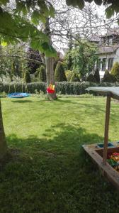 a green yard with a swing and a playground at Ferienwohnung nahe Ulm/Laupheim in Laupheim