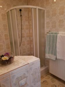 La salle de bains est pourvue d'une douche et d'une armoire blanche. dans l'établissement Pensiunea Liana, à Nemşa