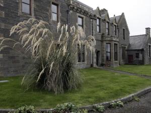 a house with a tall plant in front of it at No.4 Bignold in Wick