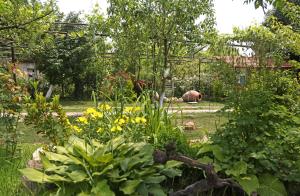 Ein Garten an der Unterkunft Wine House KNIAZ