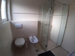 a bathroom with a shower and a toilet and a sink at Apartman Ivana in Porat +12 photos