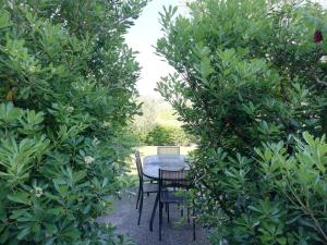 een tafel en stoelen in een tuin tussen twee bomen bij Casale el galet in Moniga