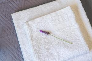 Kép Irene Hotel Leros szállásáról Álindában a galériában