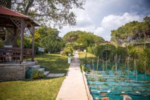 a garden with a pond with aquatic plants at Estate Irene in Alexandroupoli