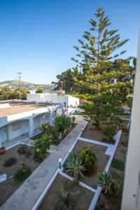 A garden outside Irene Hotel Leros