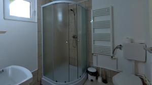 a bathroom with a shower and a toilet and a sink at Breb 418, Casa Opris in Breb